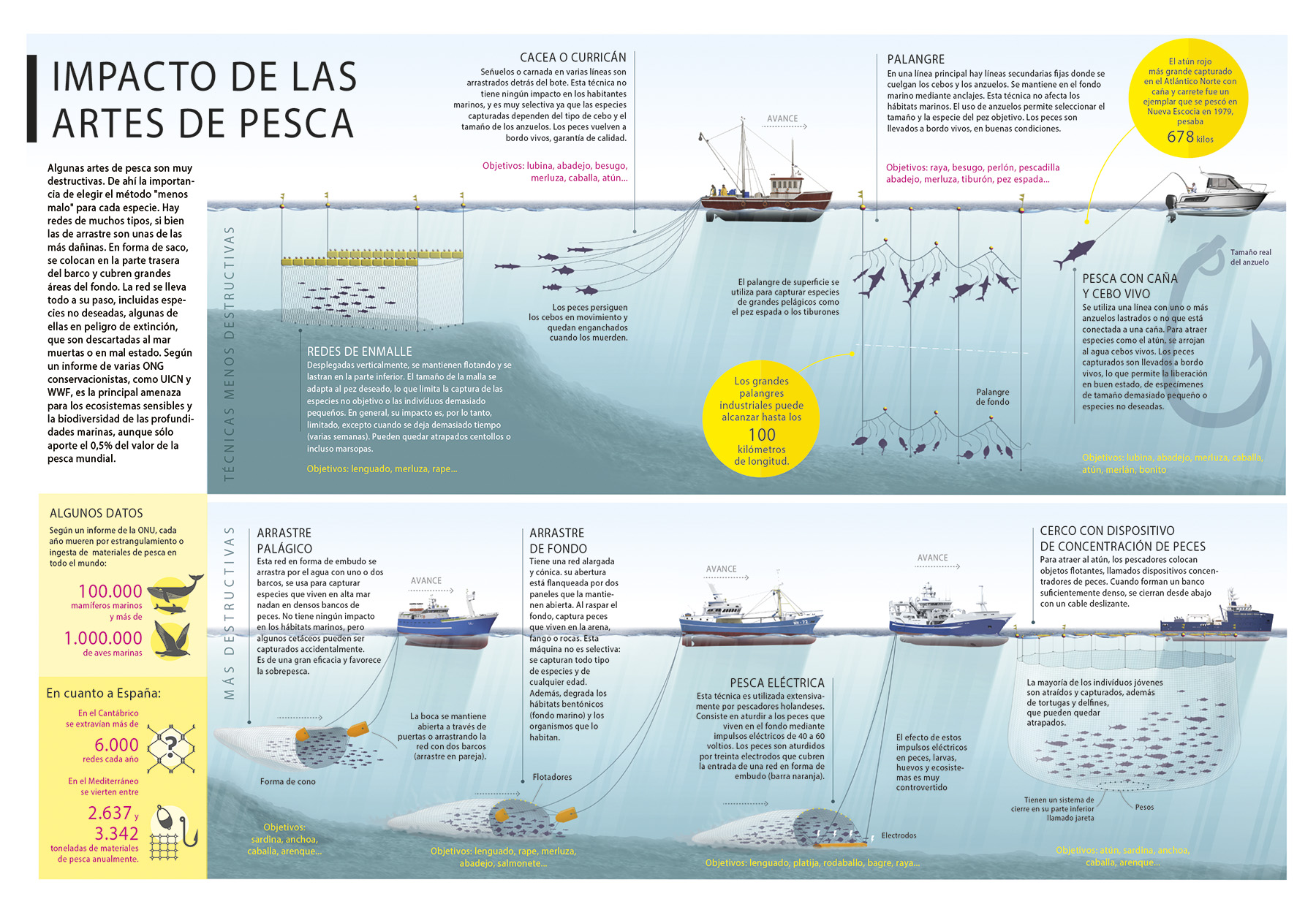 3º3el Sector Primario 0234